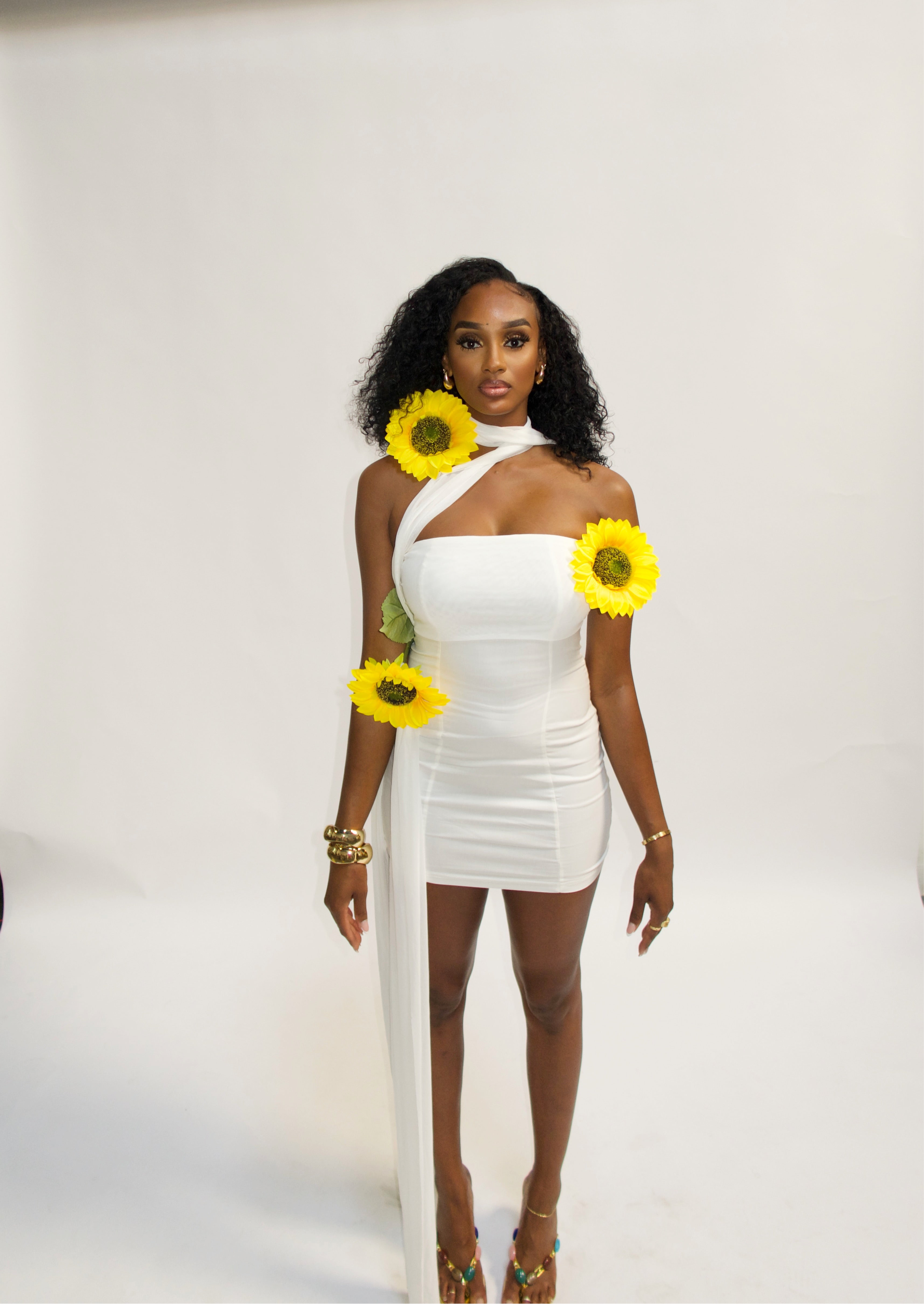 The Simone Dress